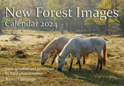 New Forest Images Calendar 2024 New Forest Images Calendar 2024