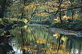 Blackwater Reflections
image ref 5