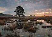 Dawn at Duck Hole image ref 255