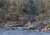 Footbridge over Highland Water
image ref 353 Footbridge over Highland Water
image ref 353