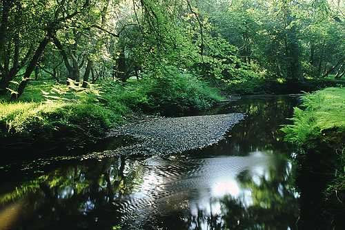 Highland Water
image ref 40 New Forest Landscapes : Highland Water
