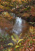 Highland Water in Autumn
image ref 331