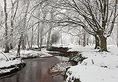 Highland Water in the Snow
image ref 363 Highland Water in the Snow
image ref 363