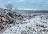 Hoar Frost at Ogden Hoar Frost at Ogden