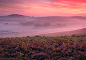 Late Summer Heathland Sunrise
image ref 384