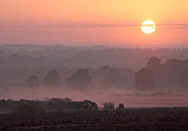 Sunrise over Matley
image ref 355 Sunrise over Matley
image ref 355