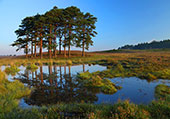 Pond near Hasley Hill image ref 326
