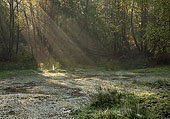 Sunrays at Mogshade Hill
image ref 361 Sunrays at Mogshade Hill
image ref 361