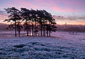 Sunrise over Woodford Bottom
image ref 376 Sunrise over Woodford Bottom
image ref 376