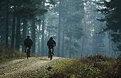 Cyclists on New Forest track
image ref 116 Cyclists on New Forest track
image ref 116